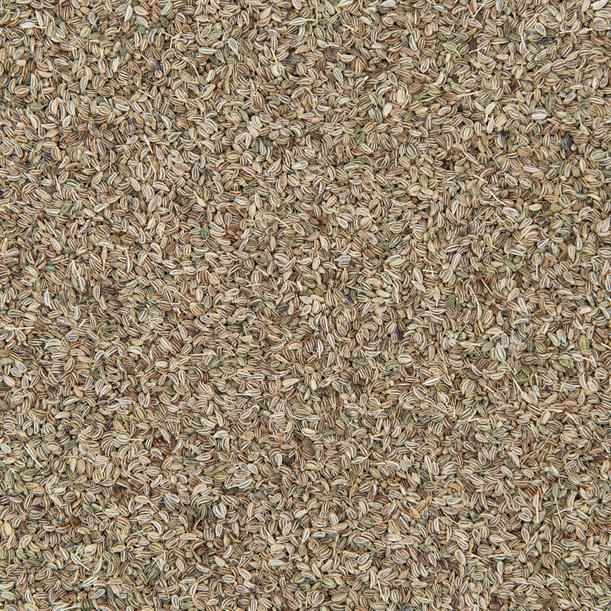 Ajwain