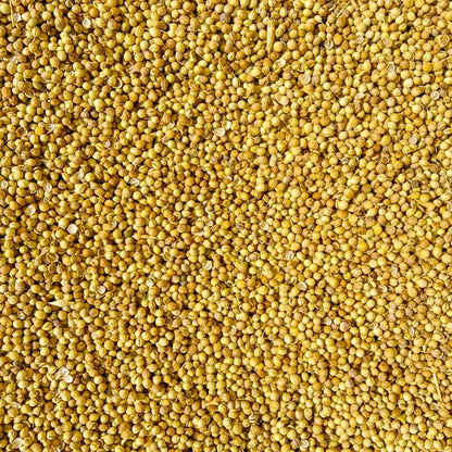 Coriander Whole (Dhaniya)