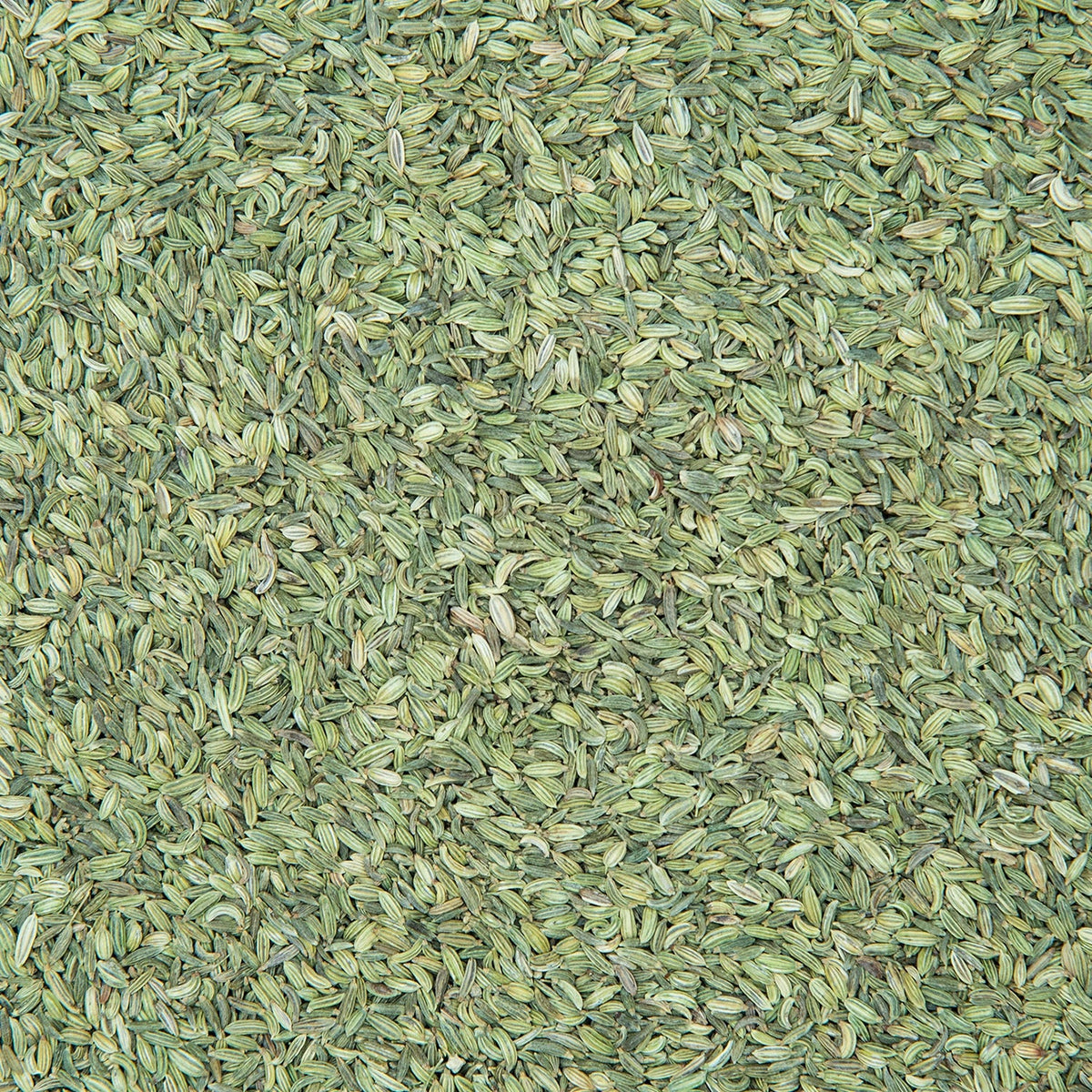 Sweet Fennel (lakhnavi Saunf)