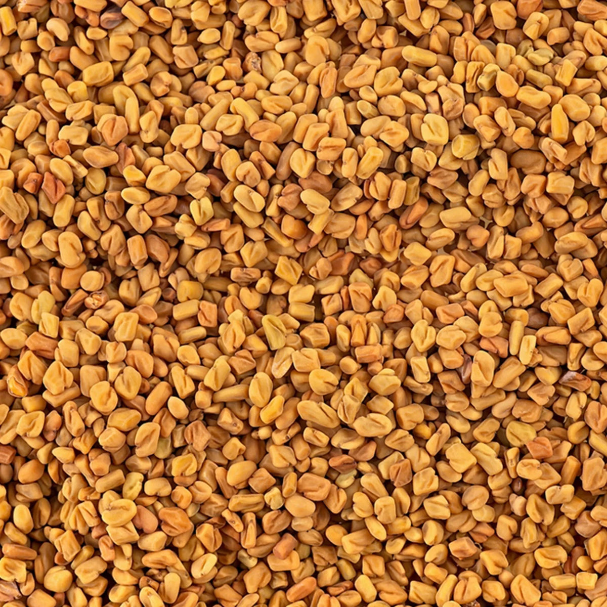 Fenugreek Seed (Methi)