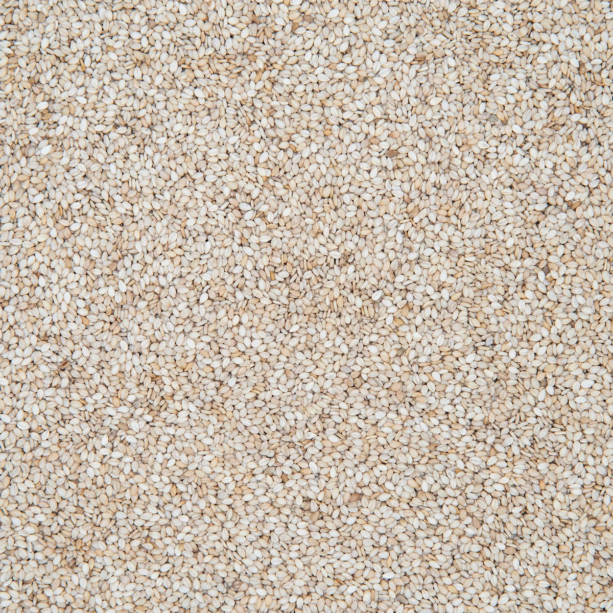 Sesame Natural (Natural Tal)