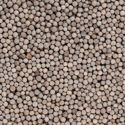 White Pepper (Safed Mari)
