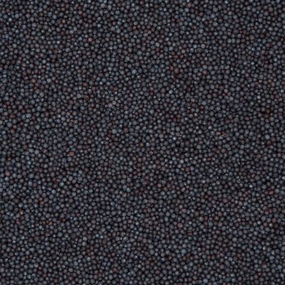 Black Mustard (Kali Rai)