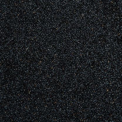 Basil Seed (Sabja)