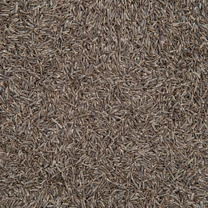 Cumin (Jeera)