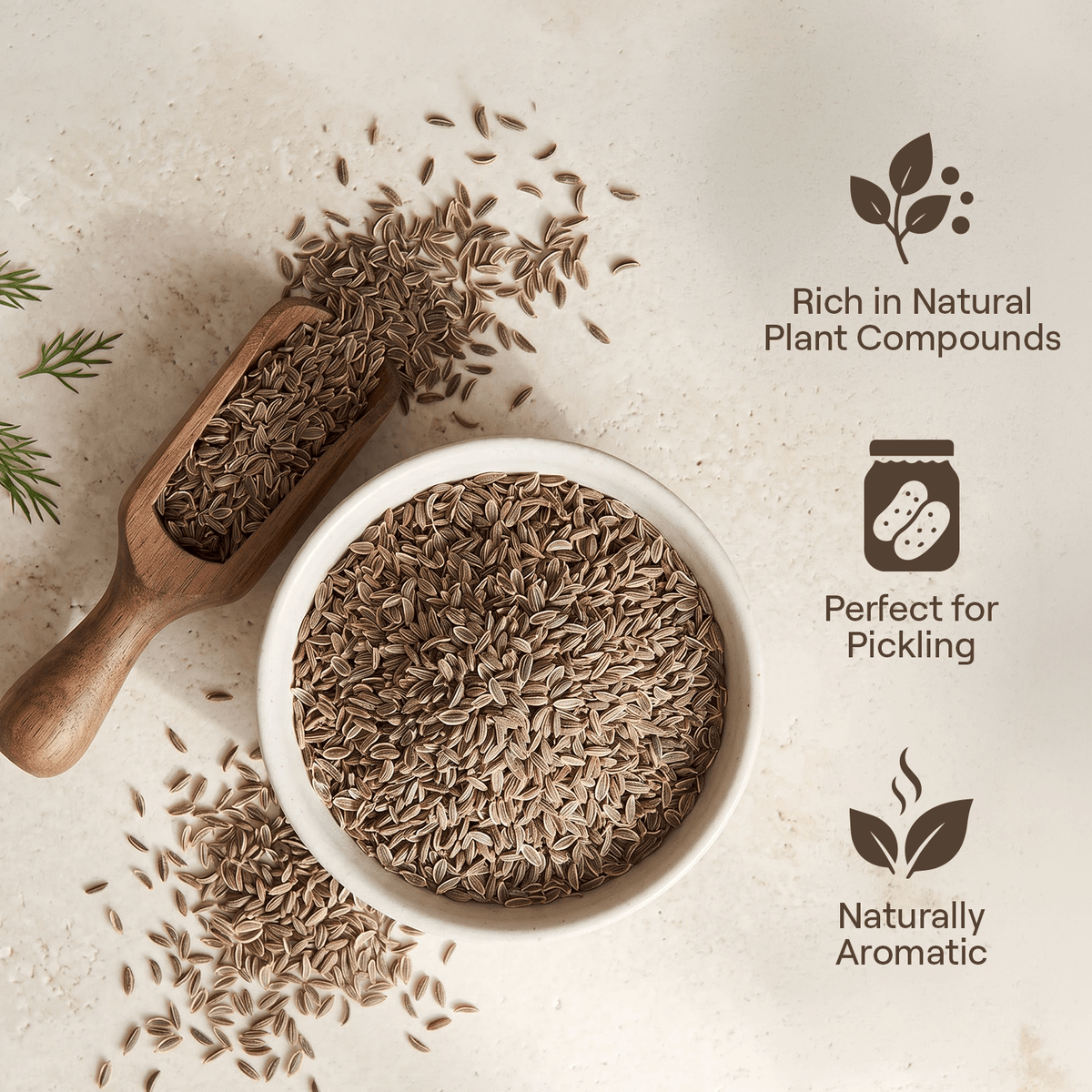 Dill Seed (Suva)