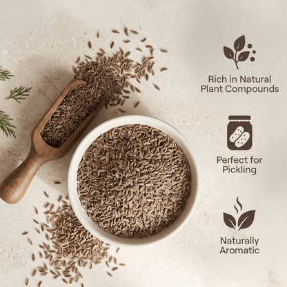Dill Seed (Suva)