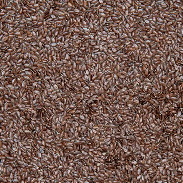 Flax Seed (Alsi)