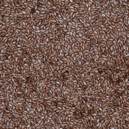 Flax Seed (Alsi)