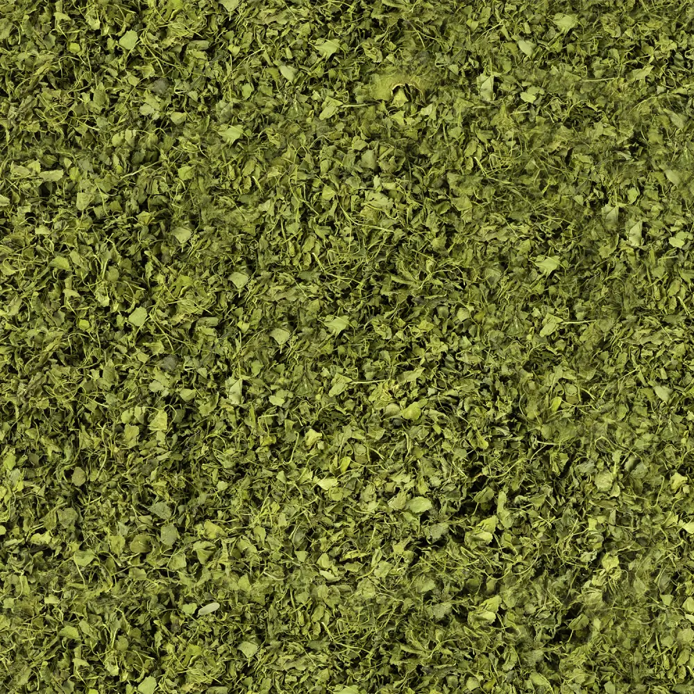 Fenugreek Leaves (Kasuri Methi)